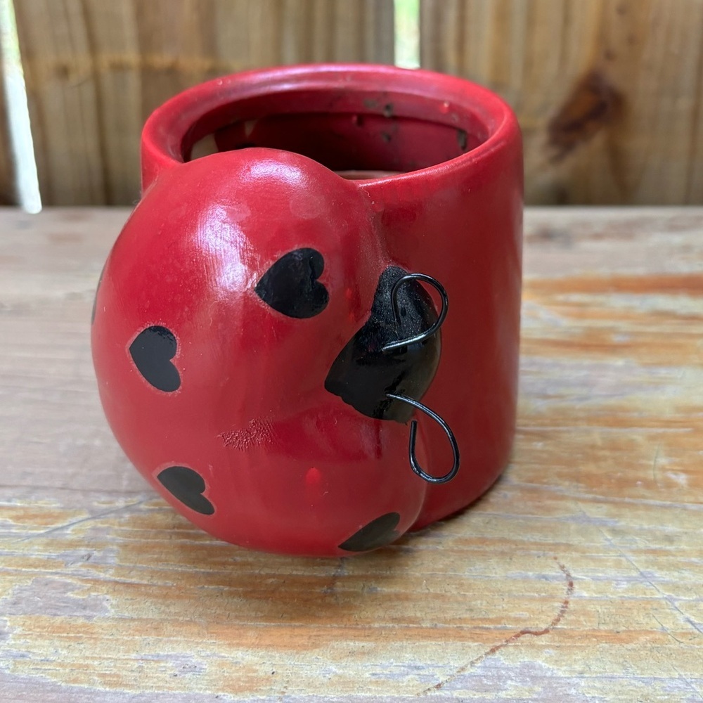 Rocket Farms Puffy Lovebug Ladybug Mini Planter